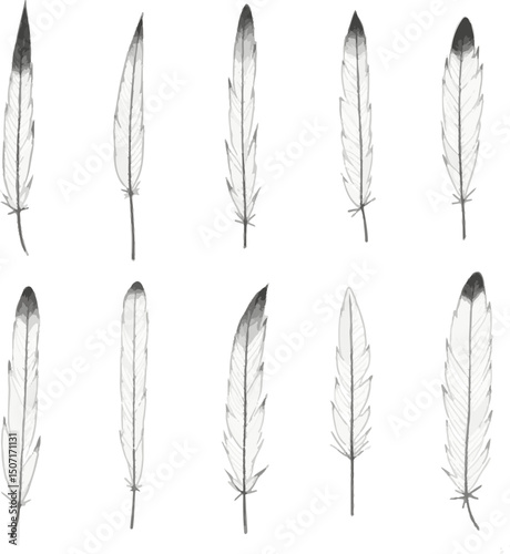 set of feathers design