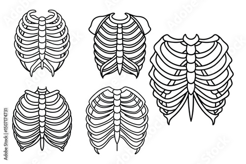 Set of rib sketch line art vector illustration on white background.