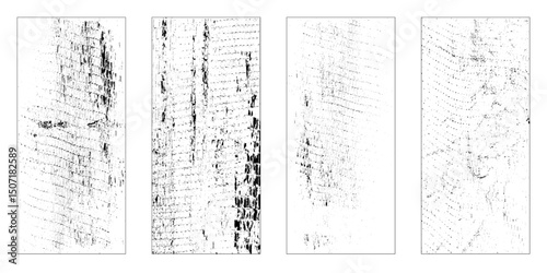 Set of monochrome texture background.  Concrete overlay black and white texture. Vector grunge set. 