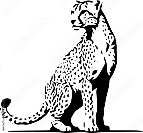 Photography vector illustration of a leopard