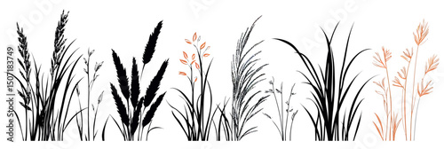 Minimalist silhouette vector of diverse tall grass and reed plants isolated on white background with black and light brown color accents for nature design and botanical illustration