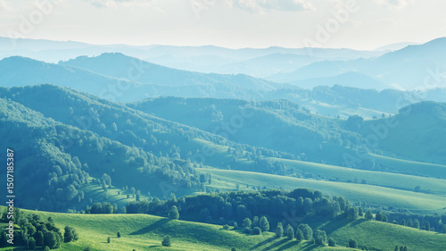 Mountain view, hills and meadows, summer landscape, green forest