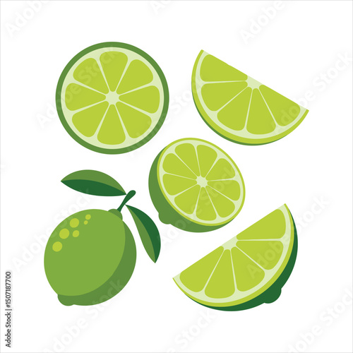 Fresh lime vector illustration featuring whole fruit halves and slices for culinary and design uses
