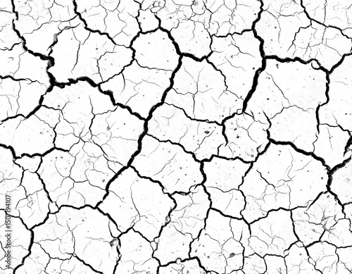 Arid Ground Texture