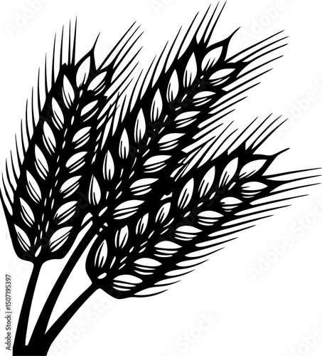 Detailed black and white of wheat stalks