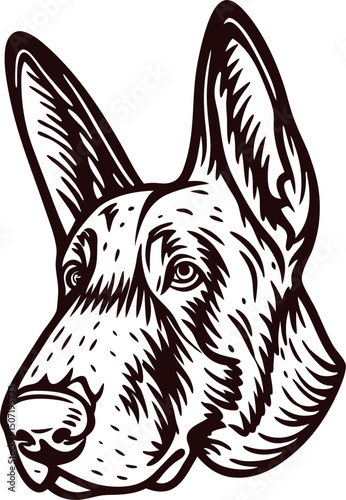 Detailed black and white german shepherd dog head in ink