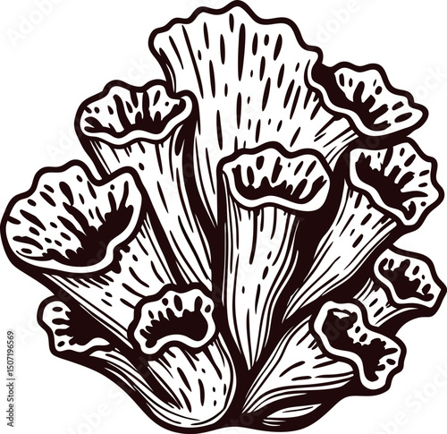 Intricate black and white coral with detailed textures
