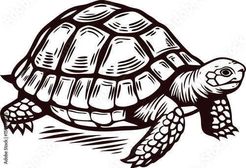 Detailed of a tortoise walking with intricate shell patterns in black and white