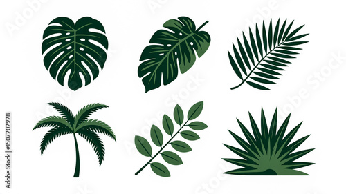 Tropical leaves vector set monstera palm leaf illustration jungle plants botanical design elements 