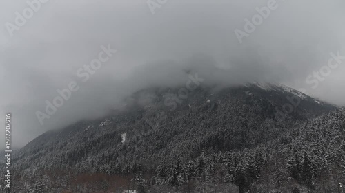 Timelapse Fog floats over mountain the snow-capped pine trees, on cloudy day, grey tone gloomy nature landscape. 