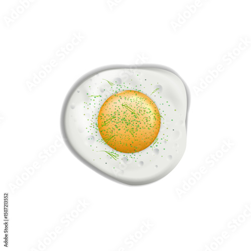 Detailed vector drawing of fried eggs