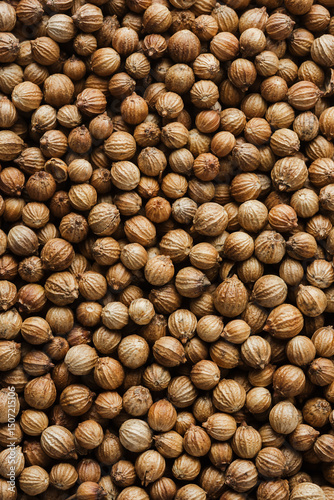 Coriander seeds.