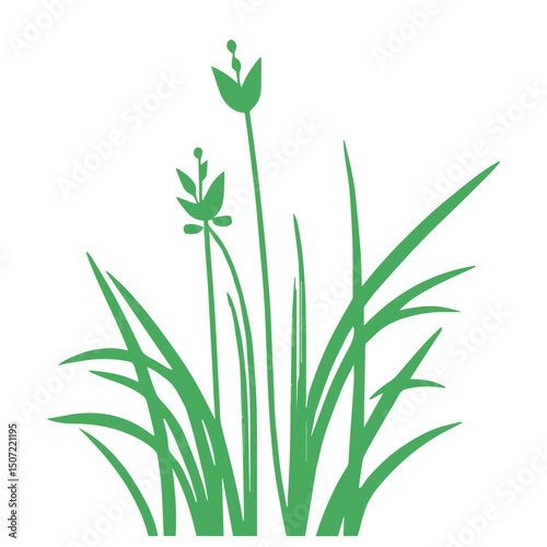 grass, nature, plant,leaf,ambush isolated vector 
