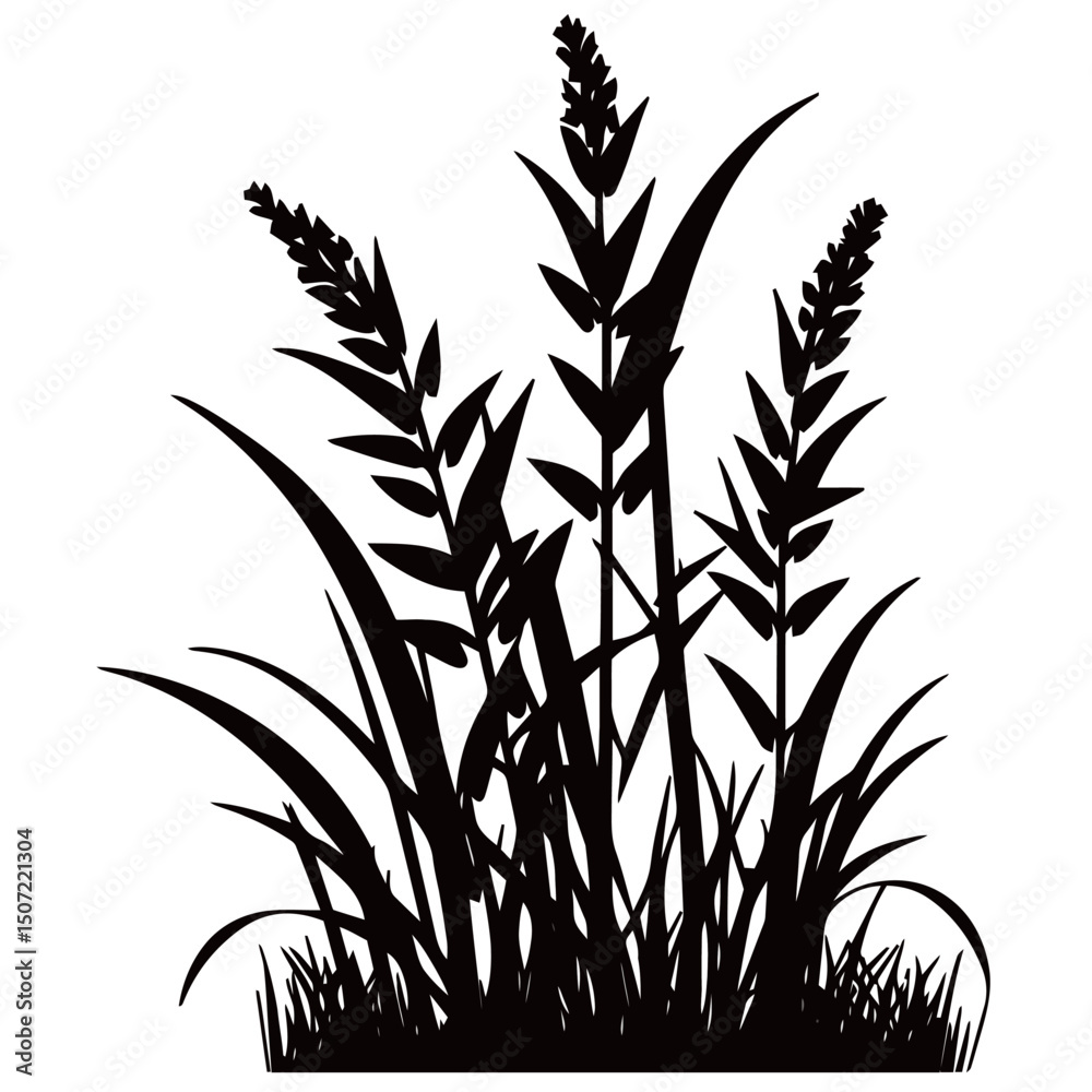 Fototapeta premium grass, nature, plant,leaf,ambush isolated vector