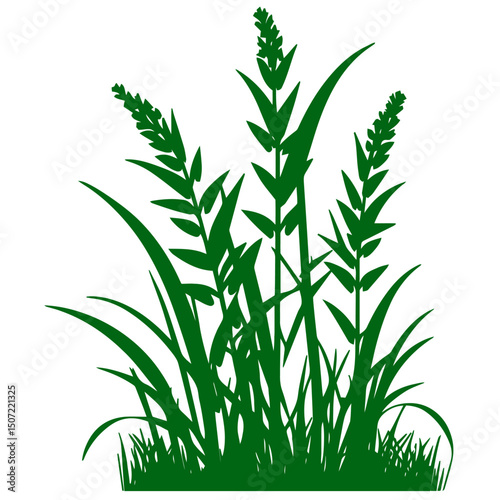 grass, nature, plant,leaf,ambush isolated vector 
