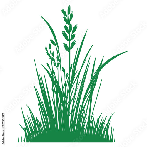 grass, nature, plant,leaf,ambush isolated vector 