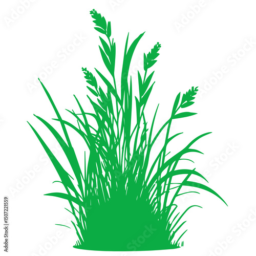 grass, nature, plant,leaf,ambush isolated vector 