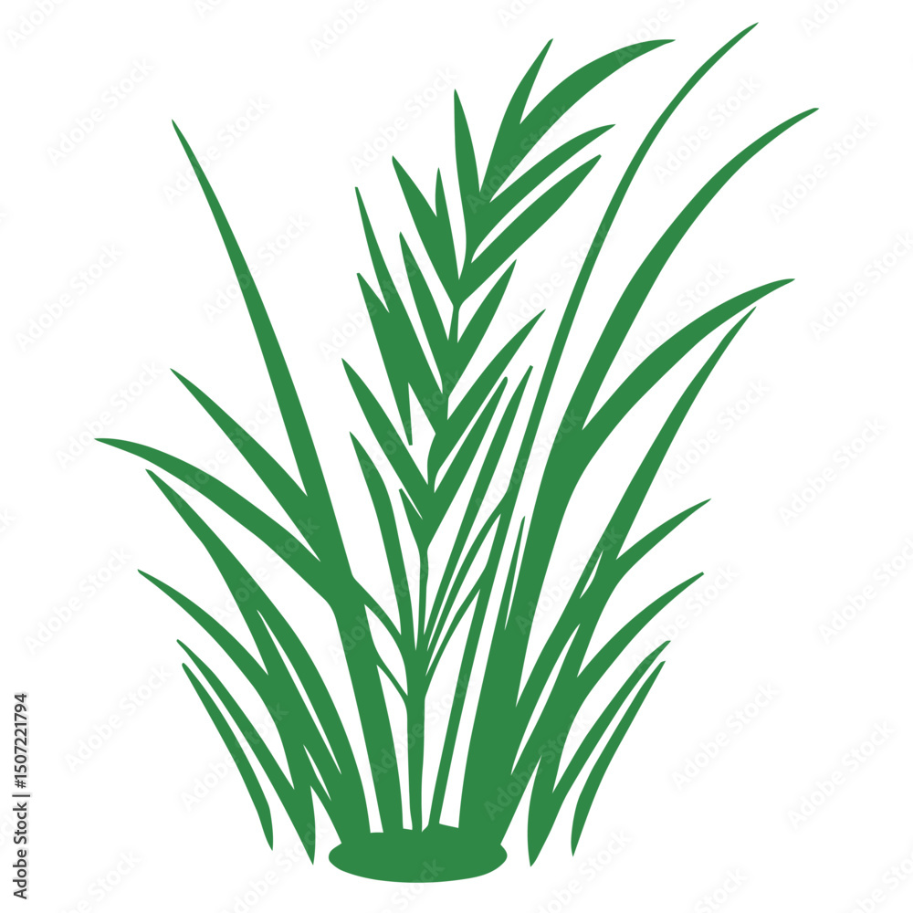 Fototapeta premium grass, nature, plant,leaf,ambush isolated vector 