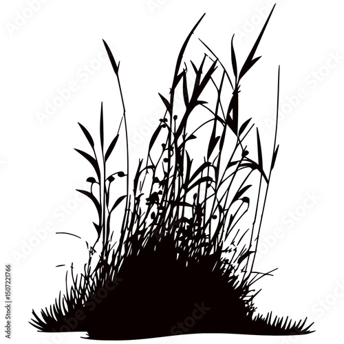 grass, nature, plant,leaf,ambush isolated vector 