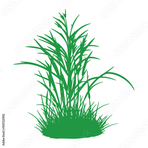 grass, nature, plant,leaf,ambush isolated vector 