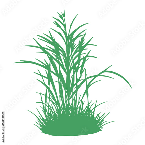 grass, nature, plant,leaf,ambush isolated vector 