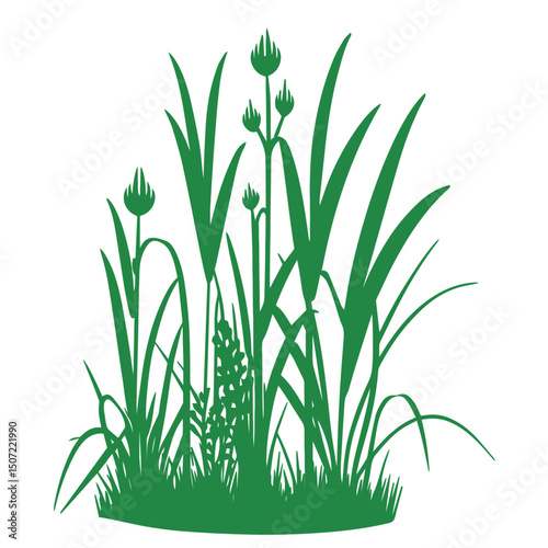 grass, nature, plant,leaf,ambush isolated vector 