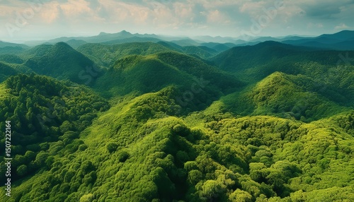 Aerial View of Lush Green Hills and Winding River