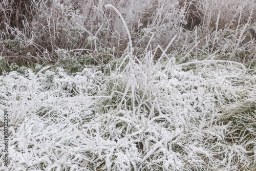 Heavy Winter Frost