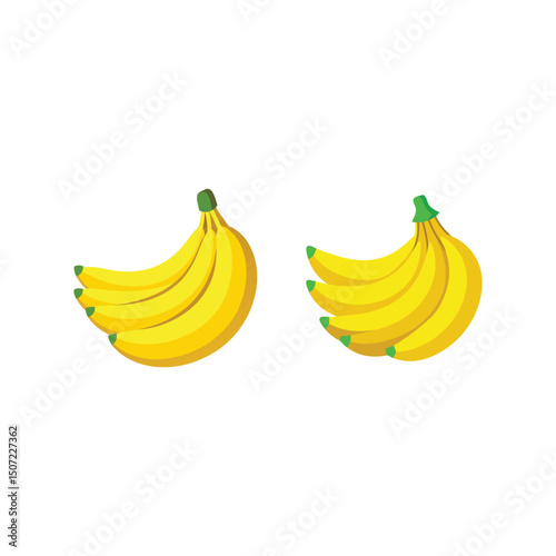 Vector art of Two bunches of bananas isolated on white background, tropical fruit