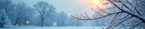 Frozen branches draped with glistening frost under a bleak winter sky A scene of serene, icy beauty, perfect for winter themes , frost, snow