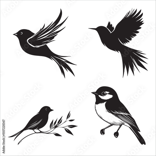graphic image of a set of four different birds on a white background
