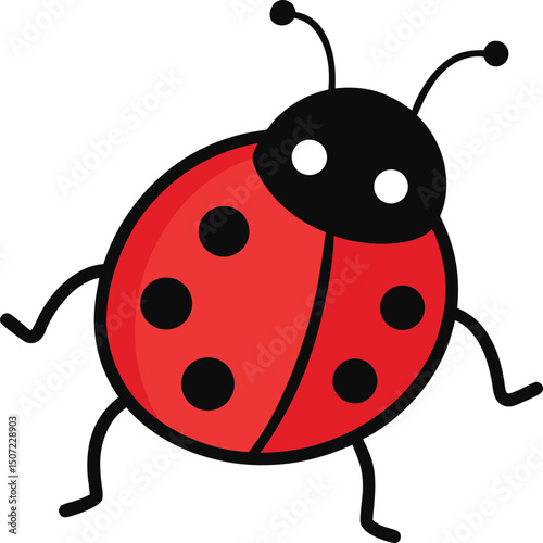 ladybug on white background