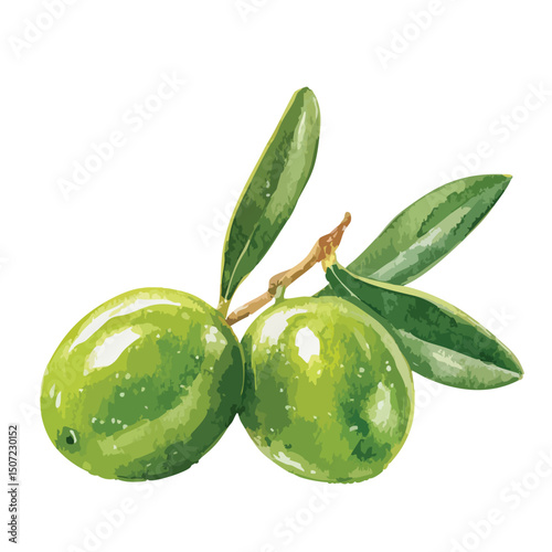 Green olives isolated on white background