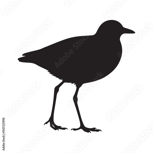 A black and white drawing of a bird with a black head and long legs Silhouette white Background.