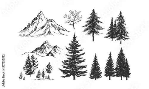 Alpine Fir Tree Silhouettes, Ski Forest Scene, Snowy Mountain Terrain, Narrow Pine Vector, Cold Forest Pack, Winter Landscape, Vector Illustration, Tree Clipart, PNG, Nature Scene.