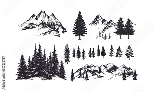Engraved Cold Forest Pack, Snowy Mountain Terrain, Alpine Fir Tree Silhouettes, Narrow Pine Vector, Ski Forest Scene, Nature Landscape, Vector Illustration, Forest Art, PNG.