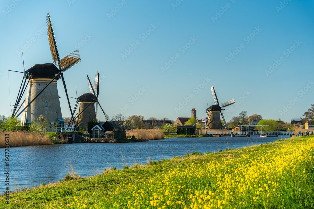 Fototapeta premium Traditional Dutch Windmills in Kinderdijk