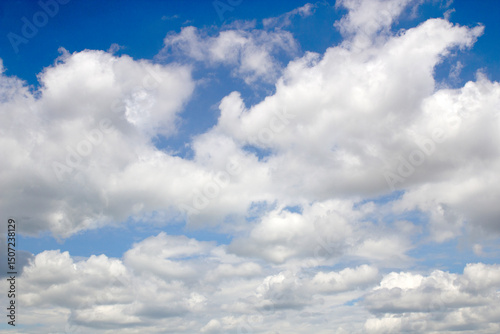 The blue sky is the background with white clouds.