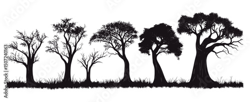 Hand-drawn Baobab Tree in Savanna Summer Theme, isolated tropical tree, forest silhouette, nature design, vector illustration, African landscape, dry savanna vegetation, wildlife background.