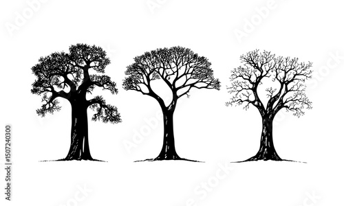 Baobab Tree Ink Style Collection, hand-drawn tropical tree, forest silhouette, isolated tree, savanna summer theme, nature design, vector illustration, wildlife art, dry season flora.