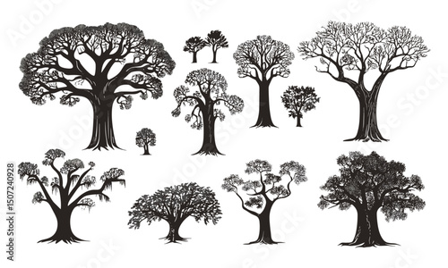 Baobab Tree, Jungle Icons, Savanna Landscape, wild tree engraving style, forest silhouette, black tree, tropical nature, vector illustration, exotic flora, African wilderness.