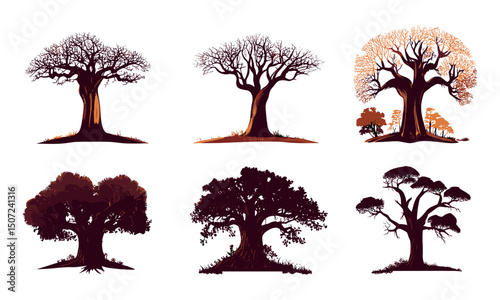 Baobab Tree vector illustration, savanna dry season scene, wild nature forest silhouette, organic hand-drawn style, African savannah vegetation, exotic tree.