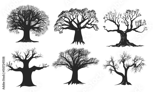 Baobab Tree silhouette in Savanna dry season, wild nature, organic hand-drawn design, forest landscape, savannah wildlife, exotic tree, vector illustration.
