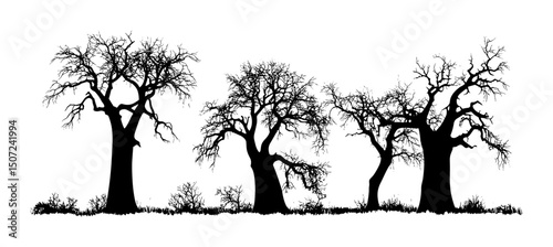 Summer Savanna Baobab Tree, forest silhouette, natural art, wild tree outline, hand-drawn style, tree vector illustration, tropical landscape, vector illustration.