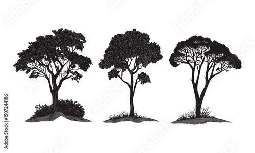 Silhouette forest icons, beech trees in mountain setting, seasonal nature art, engraving technique, organic design elements, natural landscape, vector illustration.