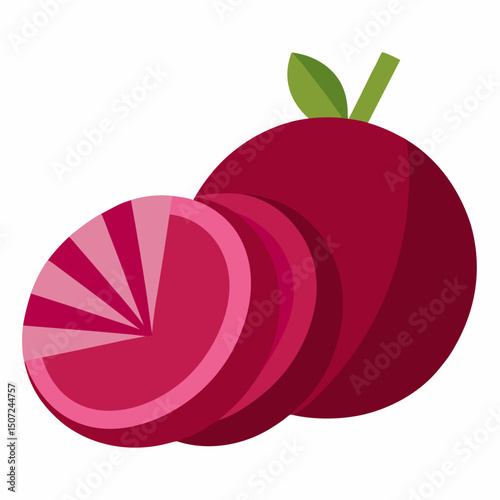 vector illustration of a radish