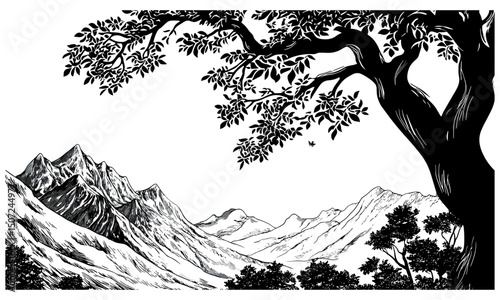 Beech Tree Silhouette, mountain forest scene, summer wild tree vector illustration, engraving style, nature design, peaceful outdoor scenery, vector illustration.