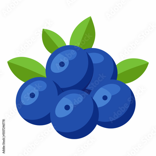 blueberries isolated on white