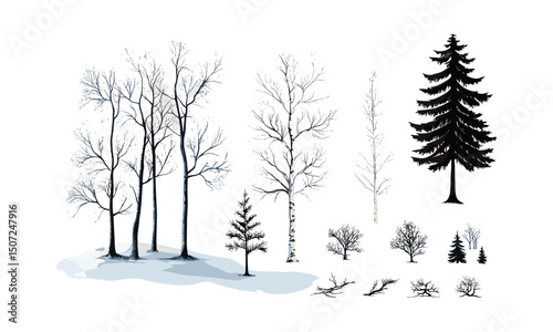 Birch Tree Snow Theme Arctic Woodland, forest silhouette, engraving style, black tree, nature design, winter landscape, cold environment, vector illustration.