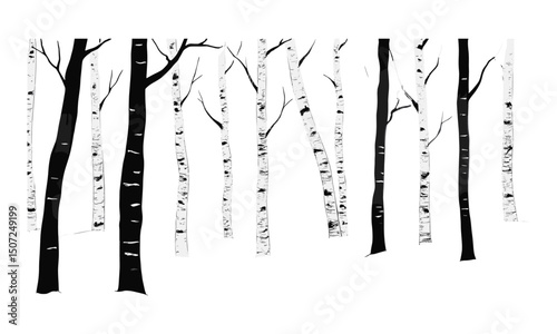 Birch tree winter ink art, minimal Scandinavian landscape, forest silhouette, isolated hand-drawn tree, black tree, organic design, vector illustration, nature drawing, calm scenery, seasonal mood.